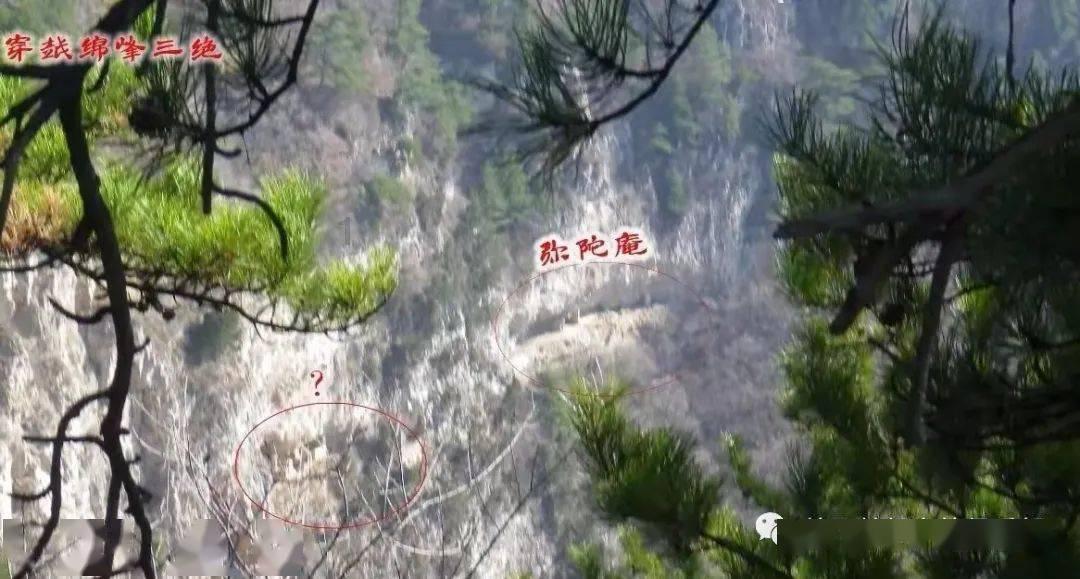 金泰亨Lisa朴宝剑同框亮相巴黎时装周，你对他们最初的印象有哪些？游戏画面