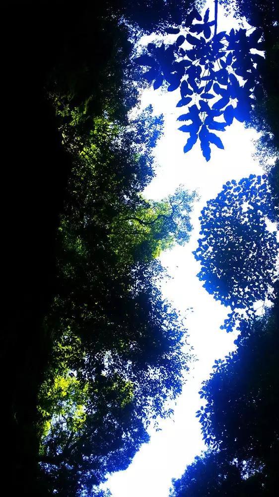超级坦克消灭僵尸