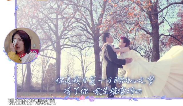 见缝插刀2