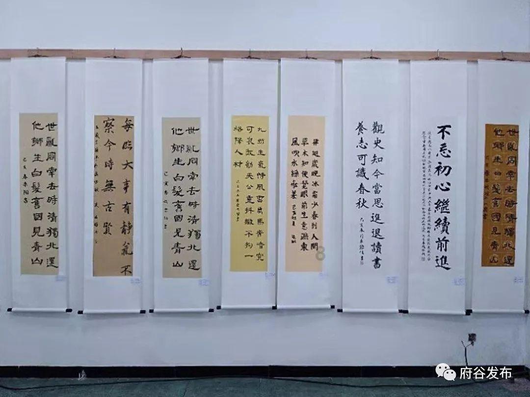菏泽牡丹“花开”广州