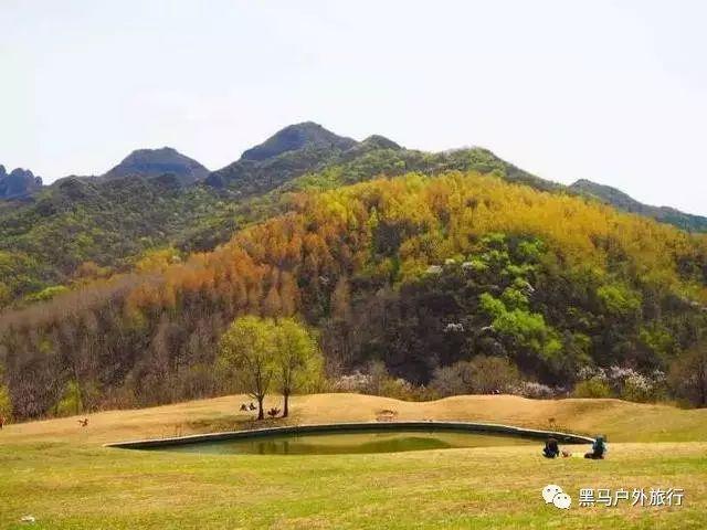 东软集团:拟以1亿-2亿元回购公司股份