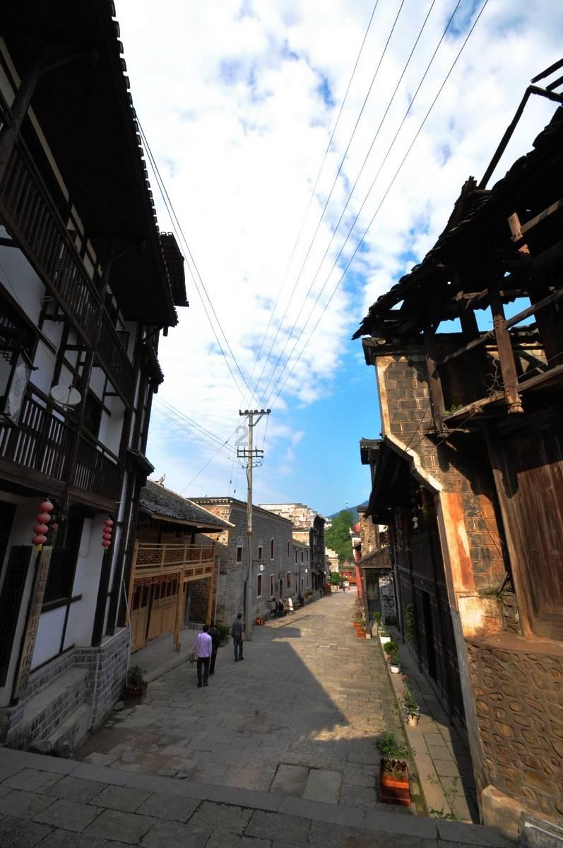 纯种波斯猫价格 建议多了解它的性格
