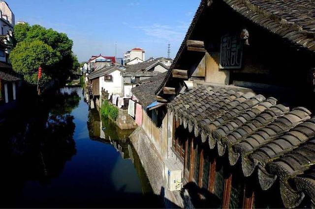 杀出重围人类分裂